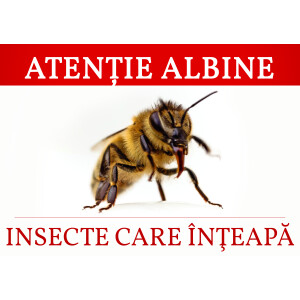 Placa PVC - Atentie albine: insecte care inteapa
