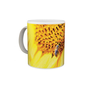 Cana “Floarea Soarelui cu albina” 