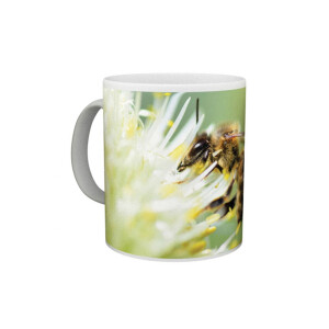 Cana ceramica "Floare si albina"