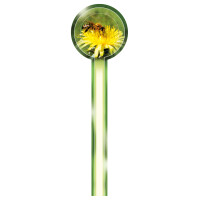 Sigiliu rotund pt. borcan  (41x145 mm)