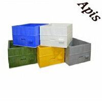 Corp Stup Izolat tip Langstroth American